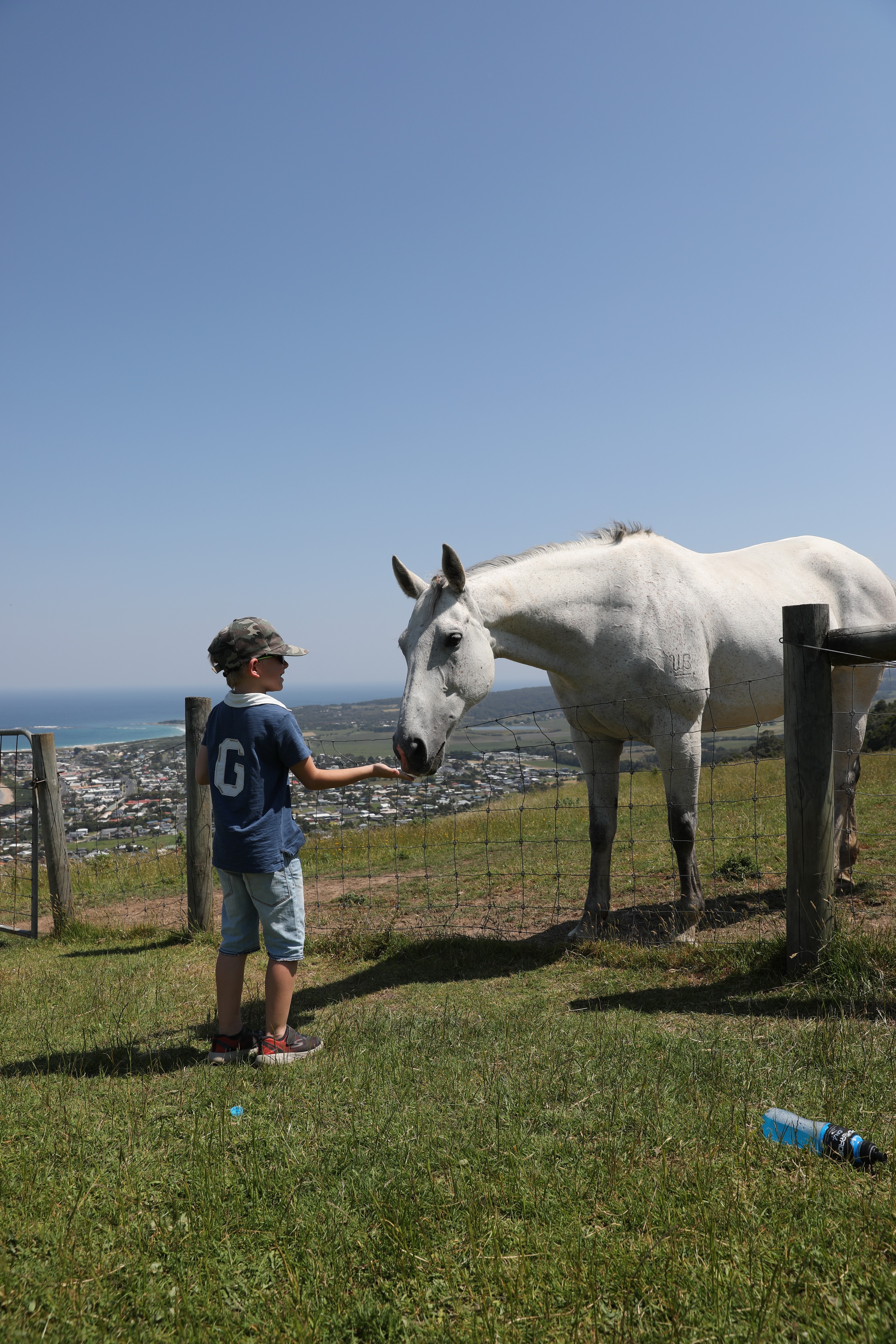 Denen schmecken unsere Mören